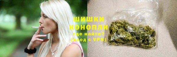 шишки Абаза