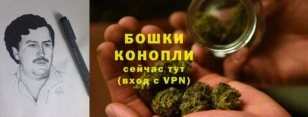 дживик Лагань