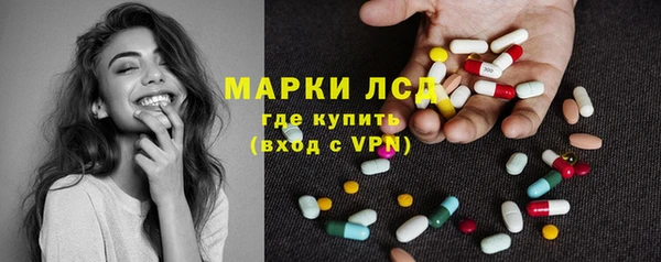 шишки Абаза