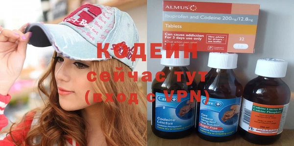 шишки Абаза