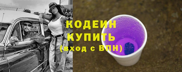 шишки Абаза